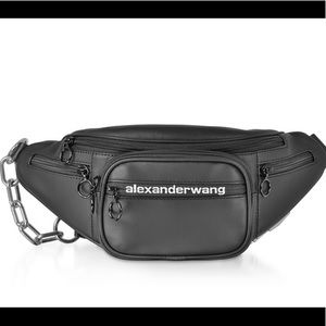 Alexander Wang MINI Fanny pack